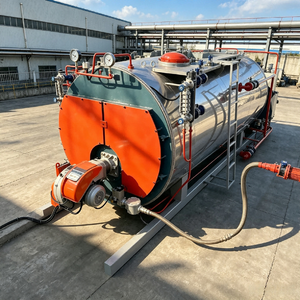 Chaudière à vapeur au gaz naturel, au diesel ou au GPL de 0,5, 1, 1,5, 2, 3, 4, 5, 6, 8, 10, 12, 15, 20 tonnes, fabriquée en Chine - Product Image 4
