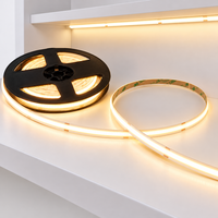 Lampu LED COB 4000K DC 5V USB COB Strip 3mm 5mm 8mm 3000K 320 LED Glite Dual Row COB LED Strip 600 LED Per M 24V Lebar 12mm