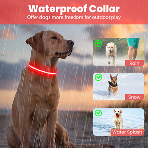 Usine personnalisée LED éclairer accessoires pour animaux de compagnie couleurs clignotant chien cou sangle USB Rechargeable réglable collier de chien lumineux - Product Image 6