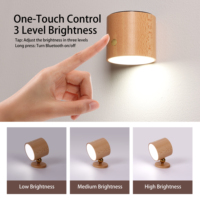 Lampe murale LED magnétique en bois naturel, rechargeable sans fil, lampe de chevet à intensité variable en continu, charge Type-C pour chambre à coucher