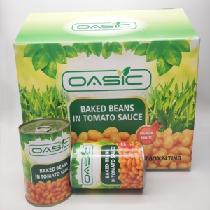 All Kinds of Canned Foods Tomato Sauce Canned <strong>Baked</strong> <strong>Beans</strong> - Product Image 6