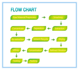 ผงสกัดโพลีแซคคาไรด์30-50% Trametes versicolor - Product Image 5