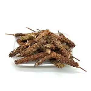 Chinese Natural Herb Xia Ku Cao Dried Selfheal Spike Prunella Vulgaris Tea