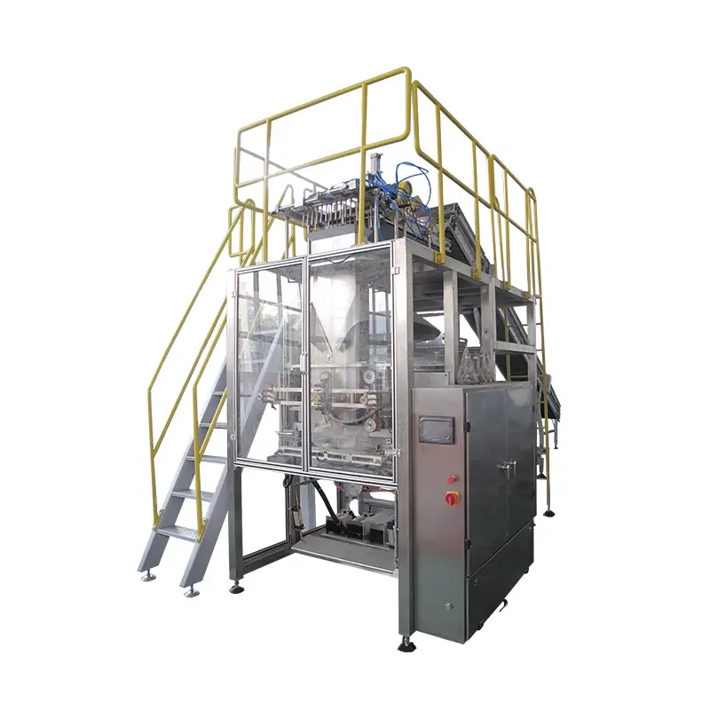 Automatic Bag Secondary Packaging Machine