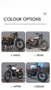 Motocicleta Todoterreno de Estilo Vintage, Motocicleta Urbana de Alta Potencia para Adultos en Oferta - Product Image 2