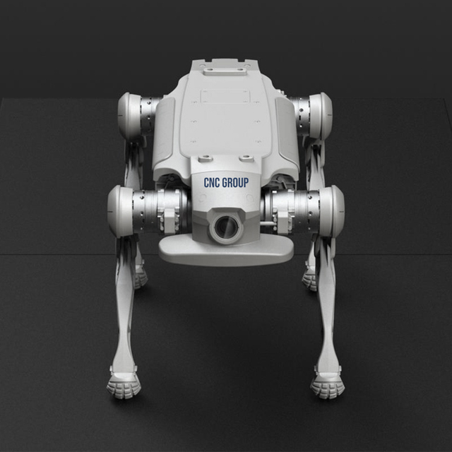 Industrial Collaborative Robot Multifunctional Professional Teaching Model Quadruped Robot Identify Foreign Objects Civilian