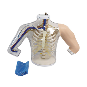 SY-N03610 इंजेक्शन मॉडल ऊपरी बांह का पता लगाने चेतावनी प्रणाली के साथ इंट्रामस्क्युलर इंजेक्शन अभ्यास सिम्युलेटर - Product Image 6