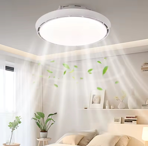 2026er Modell Deckenleuchte mit Ventilator für Schlafzimmer, Decken-Spot-Licht, LED-Ventilatorleuchte, verschiedene Optionen - Product Image 6
