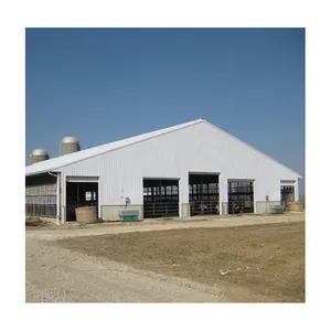 Structure en acier facile à établir bâtiment de ferme de vache structure en acier ferme laitière de vache à vendre