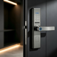 Contoh Tersedia Tuya Smart WiFi untuk Kunci Pintu Aplikasi Keamanan Pintar Penggunaan Jarak Jauh Baterai Listrik untuk Rumah Anti-Intip Kata Sandi