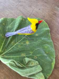 Tiny Glass World Handmade Glass Bird Figurine Yellow Purple <b>Red</b> Beak Murano Blown Tabletop <b>Vase</b> Contemporary Art Accessory - Product Image 2