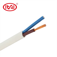 BVVB RVVB Mehradriges PVC-isoliertes und ummanteltes Flachkabel mit zwei/drei Kernen aus Kupfer, elektrisches Kabel nach IEC 60227, 750V Nennspannung für Gebäude und Hausbau