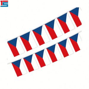 2025 Football Events 5.5x8 Inches Austria String Bunting <b>Flags</b> Wholesale Polyester Indoor and Outdoor Decoration 20pcs/set - Product Image 5