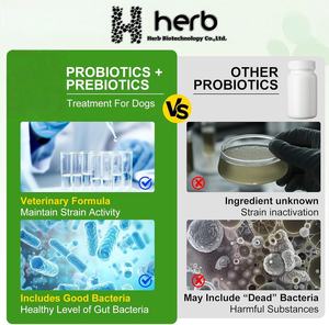 Suplemento Probiótico en Polvo para Mascotas ODM/OEM, Salud Digestiva para Perros y Gatos, Apoyo para el Intestino - Product Image 4