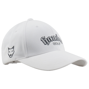 Wholesale Custom OEM ODM Custom Unisex Four Seasons Breathable <b>Waterproof</b> Quick Dry 3D Embroidered Baseball <b>Hat</b> Formal Style for - Product Image 1