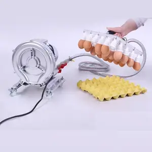 Vakuumpumpe für Eierschalen maschine Lifter zum Transfer von Eiern Vakuum-Ei-Saug heber maschine