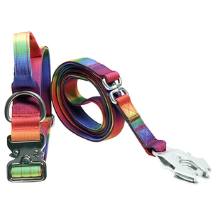 Rainbow Gradient Nylon Dog <b>Collar</b> & Leash Set, Heavy Duty with Luxury Metal Buckle for Medium Large Dogs - Product Image 2