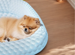 2025 OEM Fashion Cute Summer Hunde kissen Großhandel Benutzer definierte Farben und Größe Komfortable Kühlung Haustier bett Hunde matratze Bett - Product Image 2