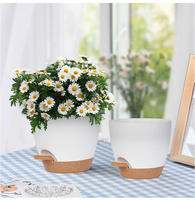 Les paresseux absorbent automatiquement l'eau Pots de fleurs de bureau créatifs Salon Pot de fleurs en plastique vert