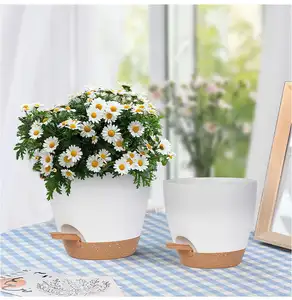 Lazy People Automatically Absorb Water Creative Office Flower Pots Living Room Hydroponic Resin Flower Self Watering Pots