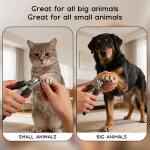 Cortador de Unha Profissional para Animais de Pequeno Porte em Aço Inoxidável Aparador para Cães com Proteção de Segurança para Evitar Cortes Fácil de Limpar para Gatos e Cães - Product Image 5