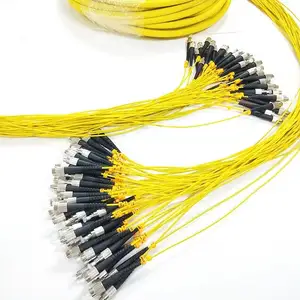 Cavo Breakout Pre-terminato in fibra ottica di vendita calda 24 Core single mode simplex fc upc a sc upc patch cord