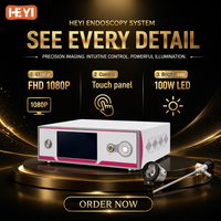 Système de caméra endoscopique rigide vétérinaire HEYI LN-C700N 1080P 60FPS avec écran tactile de 7 pouces et LED 100W certifié CE
