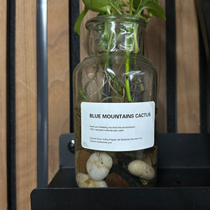 Kasaro Bestseller: Hochwertige Inneneinrichtung mit Haken und Schallabsorbierenden Paneelen Direkt vom Hersteller - Product Image 1