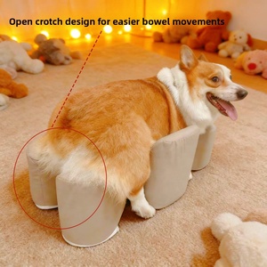 Tabouret de soutien pour chiens paralysés et âgés handicapés - Coussin de récupération durable pour animaux de compagnie avec conception stable pour salon - Product Image 1
