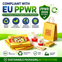 Nouvelle boîte à pizza personnalisée imprimée à 3 compartiments, emballage en carton de qualité alimentaire pour mini-pizzas, boîte à emporter écologique