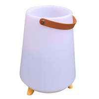 Lampe-haut-parleur LED portable, haut-parleur Bluetooth pour vin avec lumière LED intelligente RGB à changement de couleur, veilleuse décorative LED, lumière musicale