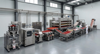 Ligne de lavage, décorticage et séchage de fraises séchées en acier inoxydable 304 de petite capacité pour atelier de transformation de snacks de baies séchées