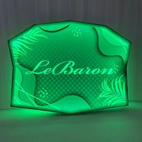 Présentoir de bouteilles LED en acrylique personnalisé en forme de feuille de palmier tropicale, avec lettres interchangeables, alimenté par batterie au lithium rechargeable, lumière portable