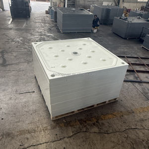 खनन मशीनों के लिए झिल्ली फिल्टर प्रेस प्लेट रबर डायाफ्राम प्रेस उपकरण उपकरण फिल्टर प्लेट - Product Image 3