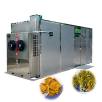 Automatische Jackfruit- en Kiwi-droger, commerciële fruitdehydrator