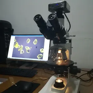 Polarizing Microscopes Prices Boshida PL1506 40X-1000X Petrographic Microscope Polarizing Microscope With Reflected Illumination And Transmission Illumination