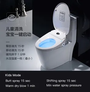 Sanitary Ware 110v Auto Flush Toilet Inodoro Smart Toilet Bowl Bathroom Toilet With Electric Cover