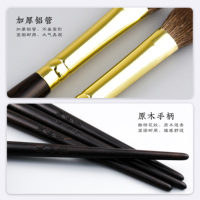 Ensemble de pinceaux de maquillage pour les yeux en ébène de luxe Offre Spéciale en ébène, outils de maquillage à manche en bois massif pour femmes, outils professionnels