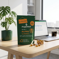 WELLBODY OEM Gummies de Shilajit à Haute Absorption 4000mg Mélange 10-en-1 Ashwagandha Maca Sans Sucre Énergie Supplément Adulte 60