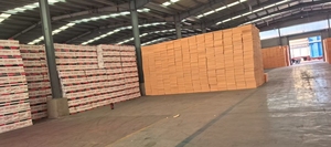 Panel de Espuma de Poliestireno Extruido (XPS) de Alta Resistencia, 700 kPa de Resistencia a la Compresión, Resistente al Fuego e Impermeable, para Almacenamiento en Frío, Almacenes y Carreteras - Product Image 5