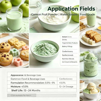 Poudre de pulpe de pomme verte séchée par atomisation standardisée 15:1, poudre de fruits fine, matière première pour la formulation de bonbons et de glaces