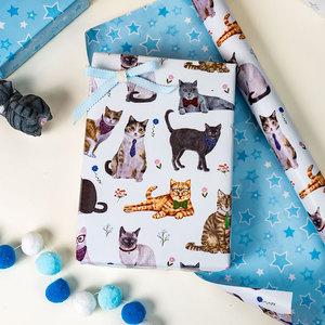 <b>Cats</b> With Accessories Gift <b>Wrapping</b> <b>Paper</b> Roll Art <b>Paper</b> Coated Double Side Recyclable 80GSM Offset Printing - Product Image 2