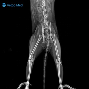 Sistema Dinámico de Radiografía Digital <span class=keywords><strong>Veterinaria</strong></span>, Fluoroscopia en Tiempo Real, Observación del Movimiento de Órganos, Máquina de Rayos X <span class=keywords><strong>Veterinaria</strong></span> Profesional - Product Image 6