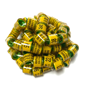 <span class=keywords><strong>GSF</strong></span> customed Content 8mm Racing piccione nucleo in alluminio con anello di plastica uccello FCI gamba anelli - Product Image 1
