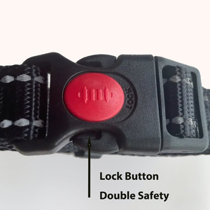 Collare da addestramento per cani OEM su misura, a controllo delicato e anti-soffocamento, con chiusura intelligente a doppio anello per Terrier di taglia piccola e media - Product Image 4