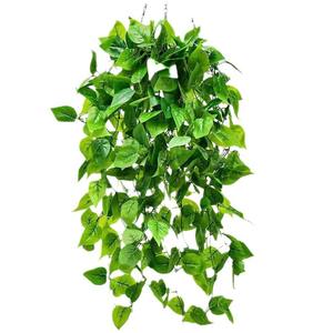 Décoration murale d'intérieur pour maison simulation rotin simulation feuille de pothos creeper vente en gros - Product Image 4