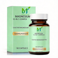 Complexe de magnésium OEM 500 mg, 90 capsules, complément alimentaire pour le soutien musculaire et nerveux des adultes