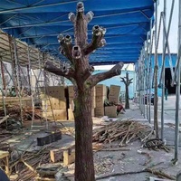 Décoration de fête de restaurant de mariage personnalisée 300 cm 10 pieds tissu de soie artificielle fleur de cerisier arbre