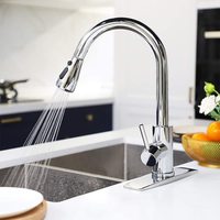 Tuyau Flexible d'eau chaude et froide pour robinet de cuisine robinet d'évier brossé en acier inoxydable 304 avec bec extractible