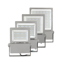30W 50W 100W 120W 150W 200W 300W Lumen élevé Vente chaude rentable Éclairage extérieur étanche Projecteur LED